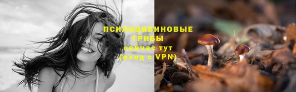 крисы Пролетарск