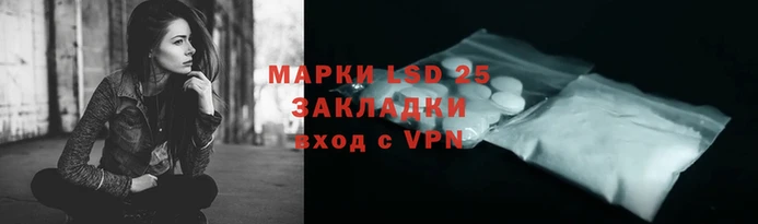 PSILOCYBIN Ростов