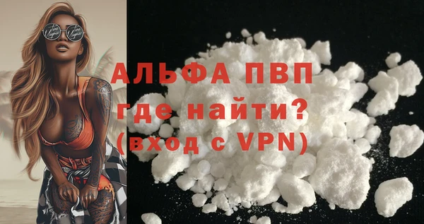 PSILOCYBIN Ростов