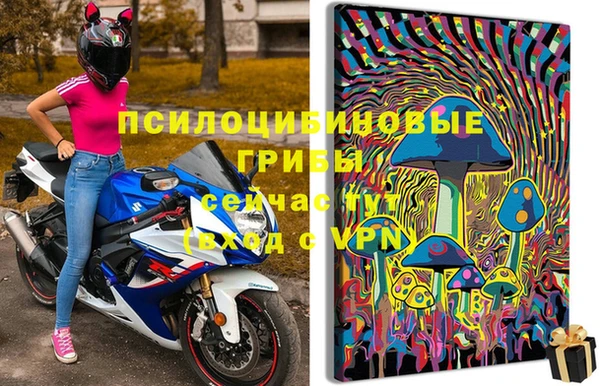 PSILOCYBIN Ростов