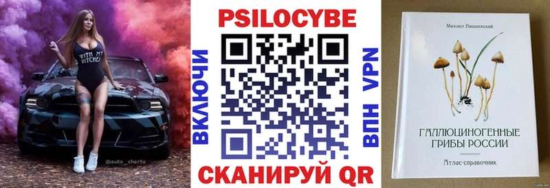 это телеграм  Теберда  Галлюциногенные грибы Psilocybine cubensis 
